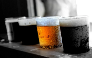 cold beer